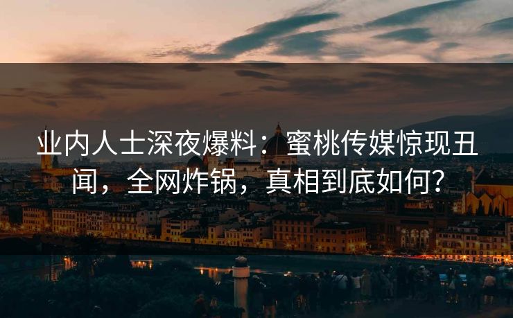 业内人士深夜爆料：蜜桃传媒惊现丑闻，全网炸锅，真相到底如何？