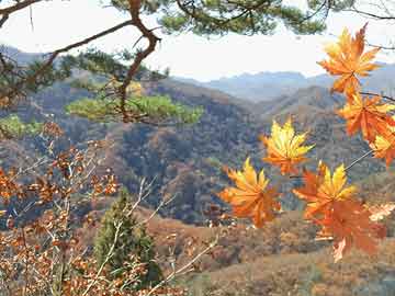 【爆料】蜜桃传媒盘点：mitao7个你从没注意的细节，明星上榜理由极其令人网友炸锅