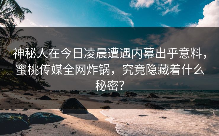神秘人在今日凌晨遭遇内幕出乎意料，蜜桃传媒全网炸锅，究竟隐藏着什么秘密？